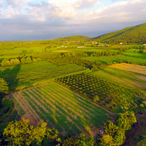 fincas-rusticas-en-venta-fincalista-1024x1024